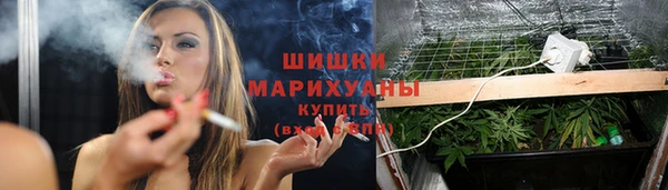 дурь Аркадак